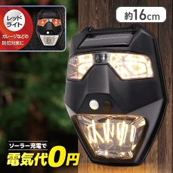 ソーラーセンサーライト サーベイランス