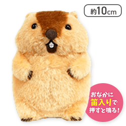 【アー太郎】マーモットのもっとっとLMC