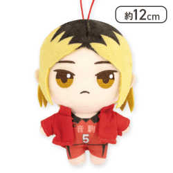 【孤爪研磨】ハイキュー!! ぷちぬいぐるみマスコットvol.2