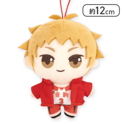 【夜久衛輔】ハイキュー!! ぷちぬいぐるみマスコットvol.2