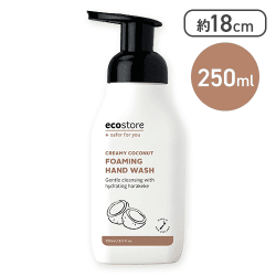 ecostore フォーミングハンドウォッシュポンプ<クリーミーココナッツ> 250mL