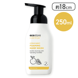 ecostore フォーミングハンドウォッシュポンプ<シトラスバースト> 250mL