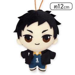 【澤村大地】ハイキュー!! ぷちぬいぐるみマスコットvol.3