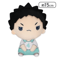 【岩泉一】ハイキュー!! もちぴこぬいぐるみ6