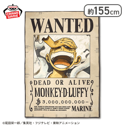 ワンピース モンキー・D・ルフィ 手配書ブランケット