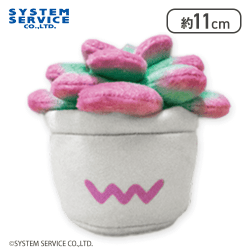 【エケベリア】FANS 観葉植物マスコットキーチェーン