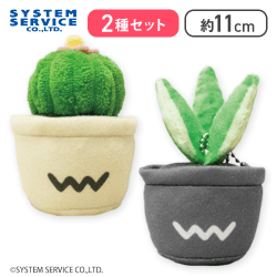 【玉サボテン&サンスベリア】FANS 観葉植物マスコットキーチェーン