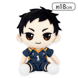 【澤村大地】ハイキュー!! オリジナルぬいぐるみvol.4