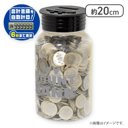 【SILVER】マイカウントバンク