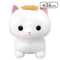 【するめ】ちんまりマンチカンお気に入りウルトラBIG