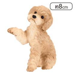 【トイプードル】ミニチュアプラネット EX7<50CPキャッチャー>