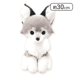 【ホロウ】アマテラスのオオカミJB