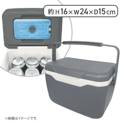 【チャコールグレー】保冷剤付きクーラーボックス4.8L GR-CB48シリーズ