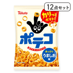 【12点セット】ポテコ うましお味※賞味期限:2027/01/08