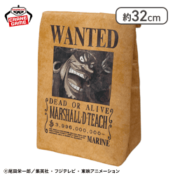 【マーシャル・D・ティーチ】ワンピース 手配書保冷バッグ