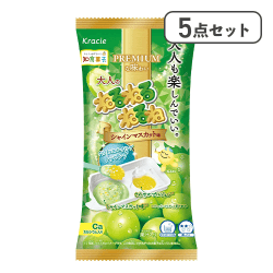 【5点セット】大人のねるねるねるね※賞味期限:2028/07/31