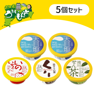 【5個セット】高知県の素材を楽しむアイス