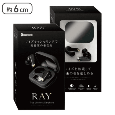 【ブラック】ノイズキャンセル機能付き　完全ワイヤレスイヤホン　Ray2